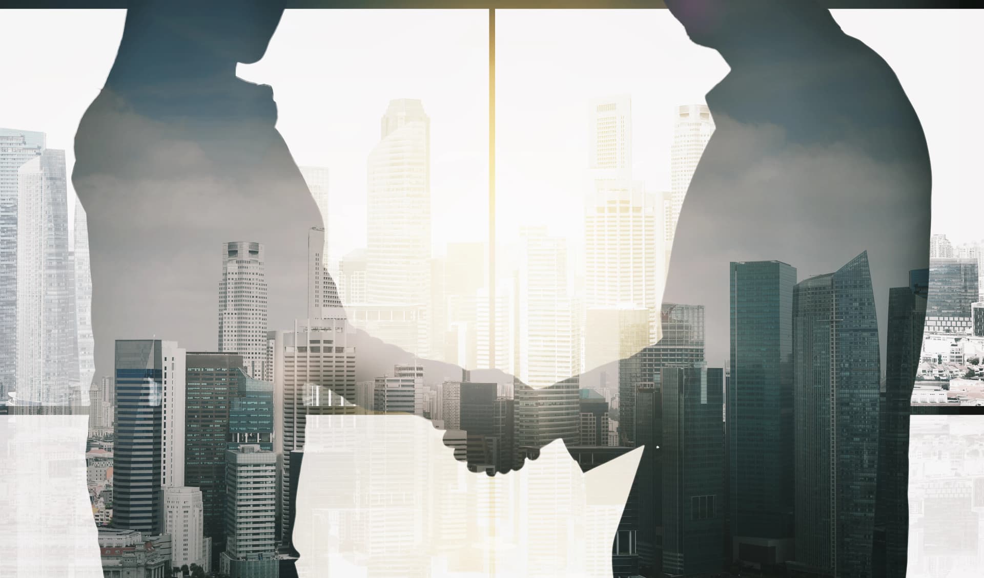 물적분할 절차 이사회 결의 내용